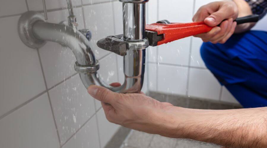 Professional Leak Detection services in Crane, OR